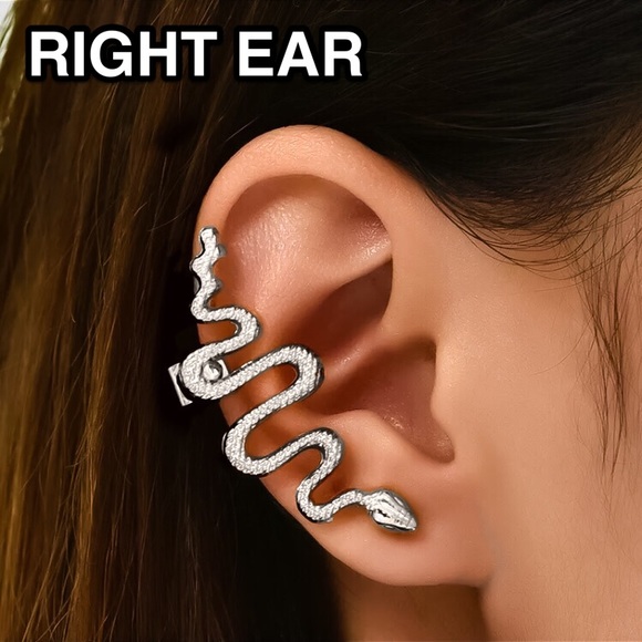 Jewelry - ⚜️[𝟯/$𝟭𝟴]⚜️Snake Silver Climber Earring NEW